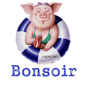bonne nuit les cochonnes !